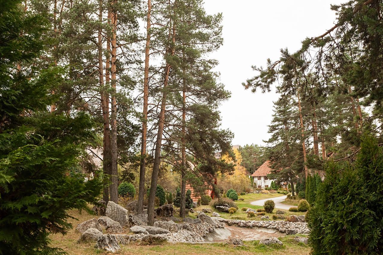 Goldpine Apartments Zlatibor Extérieur photo